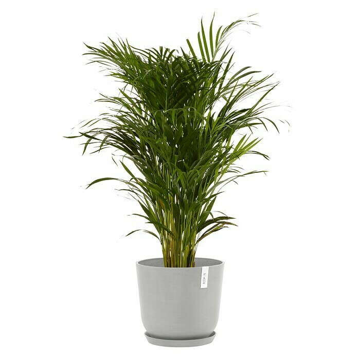Ecopots Oslo Pflanztopf mit Wasserspeicher (Außenmaß (Ø x H): 35 x 40,5 cm, Kunststoff, Weißgrau) | BAUHAUS