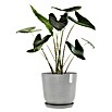 Ecopots Oslo Pflanztopf mit Wasserspeicher (Außenmaß (Ø x H): 45 x 39,4 cm, Kunststoff, Weißgrau) | BAUHAUS
