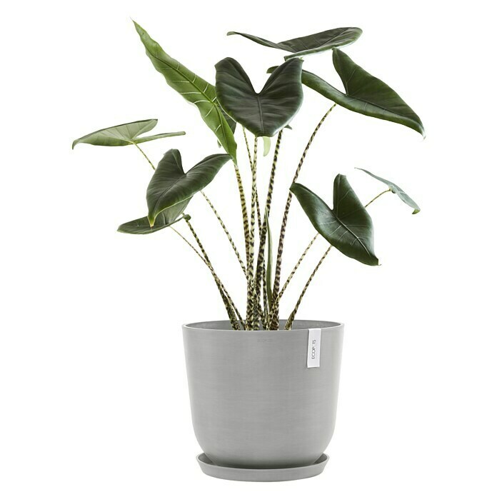Ecopots Oslo Pflanztopf mit Wasserspeicher (Außenmaß (Ø x H): 45 x 39,4 cm, Kunststoff, Weißgrau) | BAUHAUS