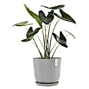 Ecopots Oslo Pflanztopf mit Wasserspeicher (Außenmaß (Ø x H): 45 x 39,4 cm, Kunststoff, Weißgrau) | BAUHAUS