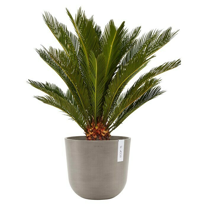 Ecopots Oslo Pflanztopf mit Wasserspeicher (Außenmaß (Ø x H): 25 x 21,4 cm, Kunststoff, Braungrau) | BAUHAUS