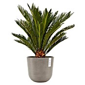 Ecopots Oslo Pflanztopf mit Wasserspeicher (Außenmaß (Ø x H): 25 x 21,4 cm, Kunststoff, Braungrau) | BAUHAUS