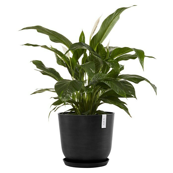 Ecopots Oslo Pflanztopf mit Wasserspeicher (Außenmaß (Ø x H): 45 x 39,4 cm, Kunststoff, Dunkelgrau) | BAUHAUS