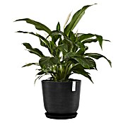 Ecopots Oslo Pflanztopf mit Wasserspeicher (Außenmaß (Ø x H): 45 x 39,4 cm, Kunststoff, Dunkelgrau) | BAUHAUS