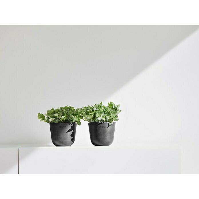 Ecopots Oslo Pflanztopf Mini (Außenmaß (Ø x H): 11,5 x 10 cm, Kunststoff, Dunkelgrau) | BAUHAUS