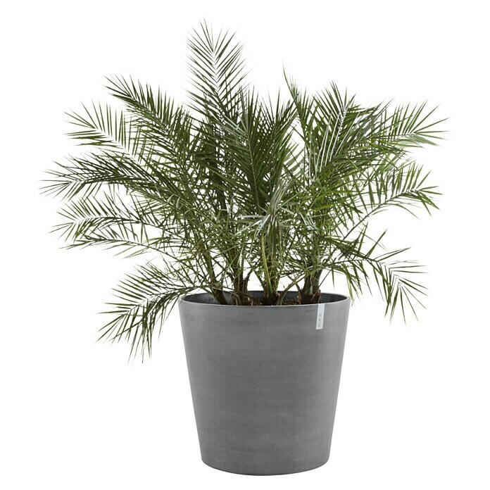 Ecopots Amsterdam Pflanzkübel rund Wheels (Außenmaß (Ø x H): 100,2 x 88,7 cm, Kunststoff, Grau, Ausstattung Pflanzgefäß: Rollen) | BAUHAUS