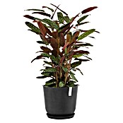 Ecopots Oslo Pflanztopf mit Wasserspeicher (Außenmaß (Ø x H): 35 x 40,5 cm, Kunststoff, Dunkelgrau) | BAUHAUS