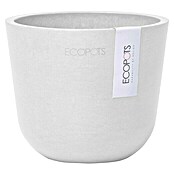 Ecopots Oslo Pflanztopf Mini (Außenmaß (Ø x H): 11,5 x 10 cm, Kunststoff, Weiß) | BAUHAUS