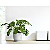Ecopots Oslo Pflanztopf mit Wasserspeicher (Außenmaß (Ø x H): 45 x 39,4 cm, Kunststoff, Weißgrau) | BAUHAUS