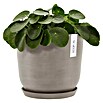 Ecopots Oslo Pflanztopf mit Wasserspeicher (Außenmaß (Ø x H): 25 x 21,4 cm, Kunststoff, Braungrau) | BAUHAUS