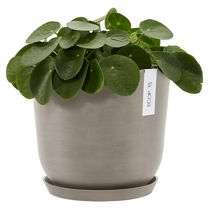 Ecopots Oslo Pflanztopf mit Wasserspeicher (Außenmaß (Ø x H): 25 x 21,4 cm, Kunststoff, Braungrau) | BAUHAUS