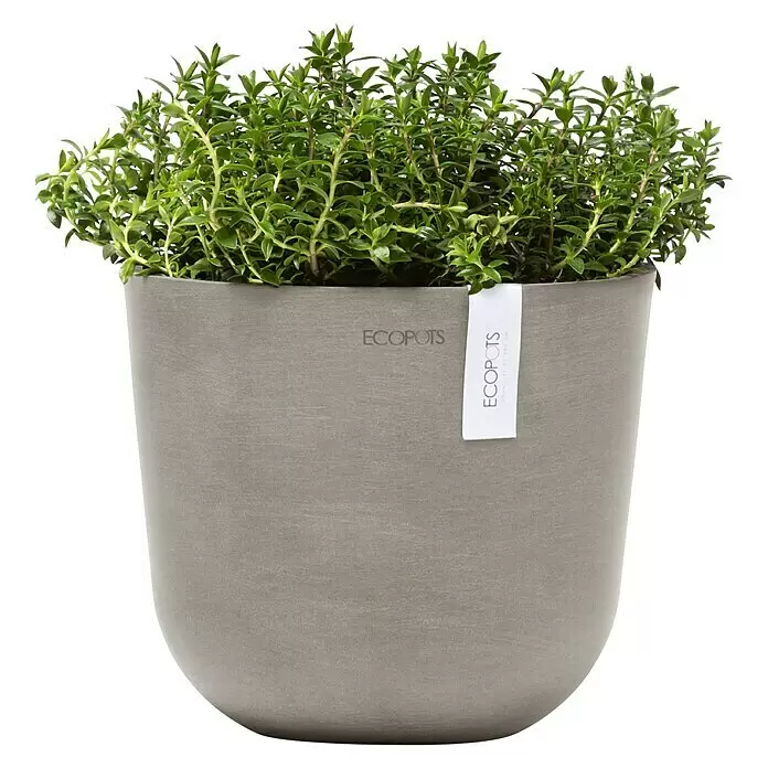 Ecopots Oslo Pflanztopf Mini - Außenmaß (Ø x H): 19 x 16,5 cm, Kunststoff, Braungrau - Grüne Pflanze in einem runden grauen ECOPOTS Pflanztopf.