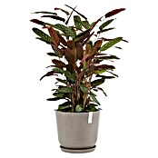 Ecopots Oslo Pflanztopf mit Wasserspeicher (Außenmaß (Ø x H): 35 x 40,5 cm, Kunststoff, Braungrau) | BAUHAUS