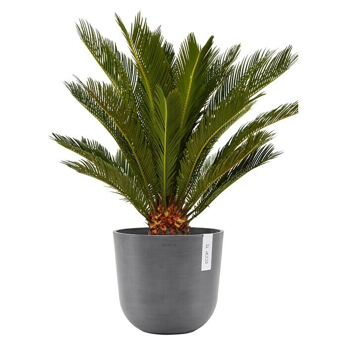 Ecopots Oslo Pflanztopf mit Wasserspeicher (Außenmaß (Ø x H): 25 x 21,4 cm, Kunststoff, Grau) | BAUHAUS