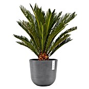 Ecopots Oslo Pflanztopf mit Wasserspeicher (Außenmaß (Ø x H): 25 x 21,4 cm, Kunststoff, Grau) | BAUHAUS