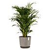 Ecopots Oslo Pflanztopf mit Wasserspeicher (Außenmaß (Ø x H): 35 x 40,5 cm, Kunststoff, Braungrau) | BAUHAUS