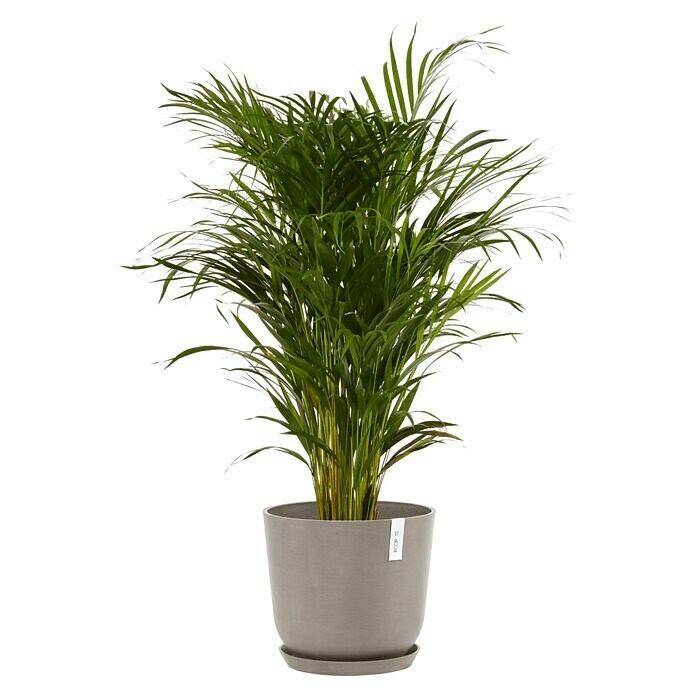 Ecopots Oslo Pflanztopf mit Wasserspeicher (Außenmaß (Ø x H): 35 x 40,5 cm, Kunststoff, Braungrau) | BAUHAUS