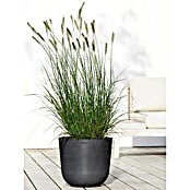 Ecopots Oslo Pflanztopf mit Wasserspeicher (Außenmaß (Ø x H): 35 x 47,9 cm, Kunststoff, Dunkelgrau) | BAUHAUS