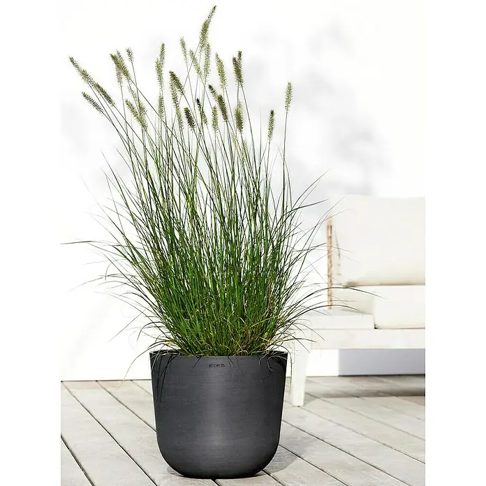 Ecopots Oslo Pflanztopf mit Wasserspeicher - Außenmaß (Ø x H): 35 x 40,5 cm, Kunststoff, Dunkelgrau - Schwarzer Pflanzkübel mit hoch wachsendem Ziergras auf einer hellen Holzterrasse. Ein stilvolles Accessoire für den Außenbereich.