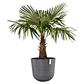 Ecopots Oslo Pflanztopf mit Wasserspeicher (Außenmaß (Ø x H): 55 x 47,9 cm, Kunststoff, Grau) | BAUHAUS