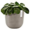Ecopots Oslo Pflanztopf mit Wasserspeicher (Außenmaß (Ø x H): 25 x 21,4 cm, Kunststoff, Braungrau) | BAUHAUS