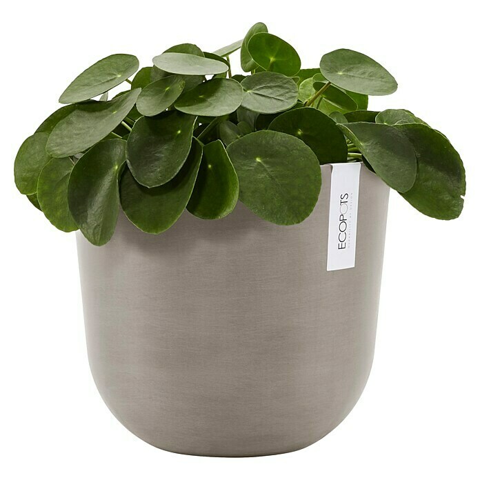 Ecopots Oslo Pflanztopf mit Wasserspeicher (Außenmaß (Ø x H): 25 x 21,8 cm, Kunststoff, Braungrau) | BAUHAUS