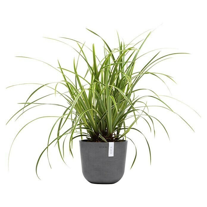 Ecopots Oslo Pflanztopf Mini (Außenmaß (Ø x H): 19 x 16,5 cm, Kunststoff, Grau) | BAUHAUS