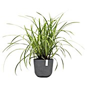 Ecopots Oslo Pflanztopf Mini (Außenmaß (Ø x H): 19 x 16,5 cm, Kunststoff, Grau) | BAUHAUS