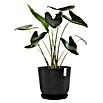 Ecopots Oslo Pflanztopf mit Wasserspeicher (Außenmaß (Ø x H): 45 x 39,4 cm, Kunststoff, Dunkelgrau) | BAUHAUS