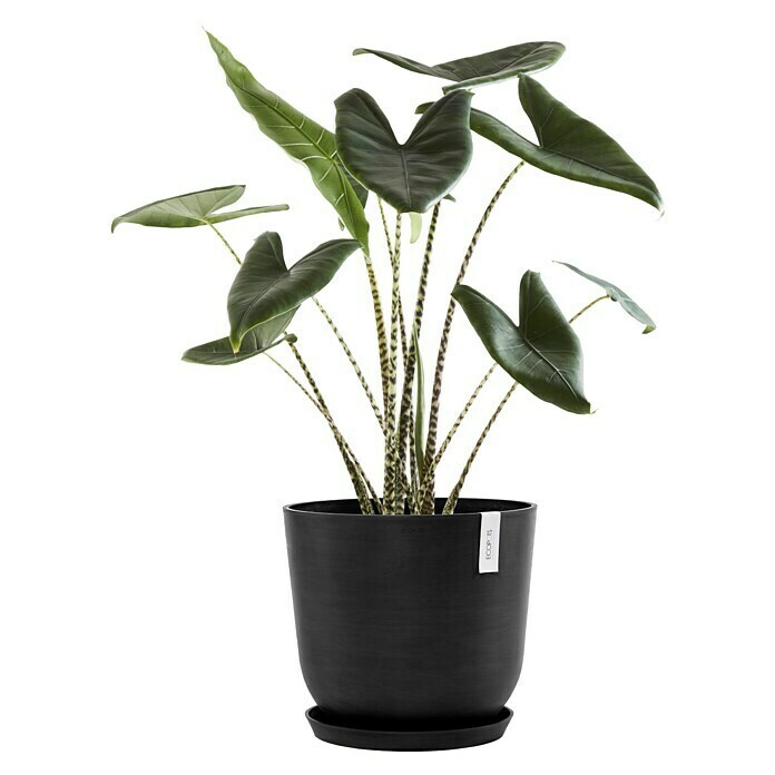 Ecopots Oslo Pflanztopf mit Wasserspeicher (Außenmaß (Ø x H): 45 x 39,4 cm, Kunststoff, Dunkelgrau) | BAUHAUS