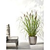 Ecopots Oslo Pflanztopf mit Wasserspeicher (Außenmaß (Ø x H): 25 x 21,4 cm, Kunststoff, Braungrau) | BAUHAUS