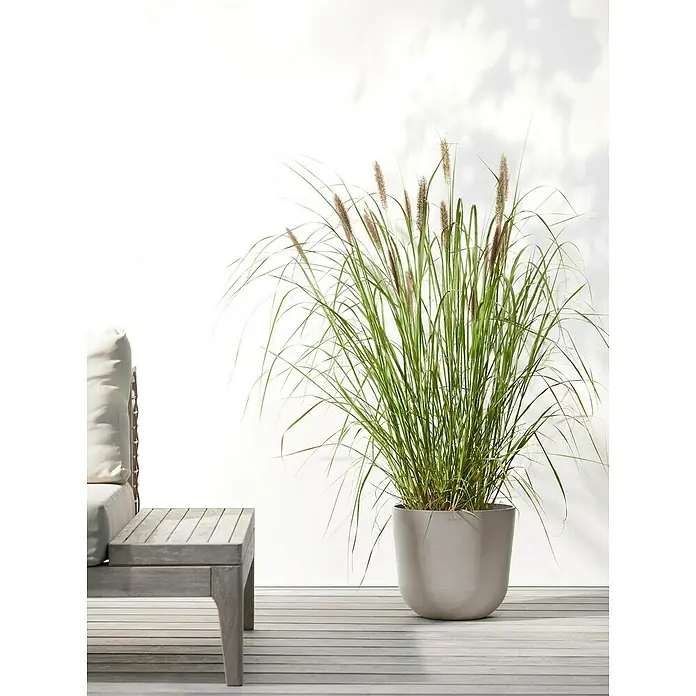 Ecopots Oslo Pflanztopf mit Wasserspeicher - Außenmaß (Ø x H): 25 x 21,4 cm, Kunststoff, Braungrau - Ein dekoratives Ziergras im Topf, perfekt für stilvolle Außenbereiche.