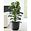 Ecopots Oslo Pflanztopf mit Wasserspeicher (Außenmaß (Ø x H): 35 x 40,5 cm, Kunststoff, Dunkelgrau) | BAUHAUS
