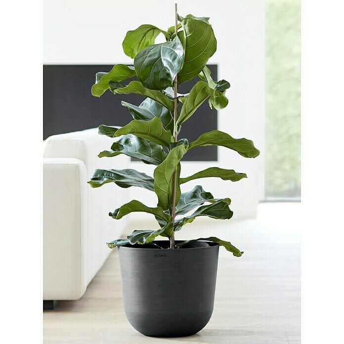 Ecopots Oslo Pflanztopf mit Wasserspeicher (Außenmaß (Ø x H): 35 x 40,5 cm, Kunststoff, Dunkelgrau) | BAUHAUS