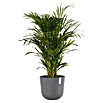 Ecopots Oslo Pflanztopf mit Wasserspeicher (Außenmaß (Ø x H): 35 x 40,5 cm, Kunststoff, Grau) | BAUHAUS