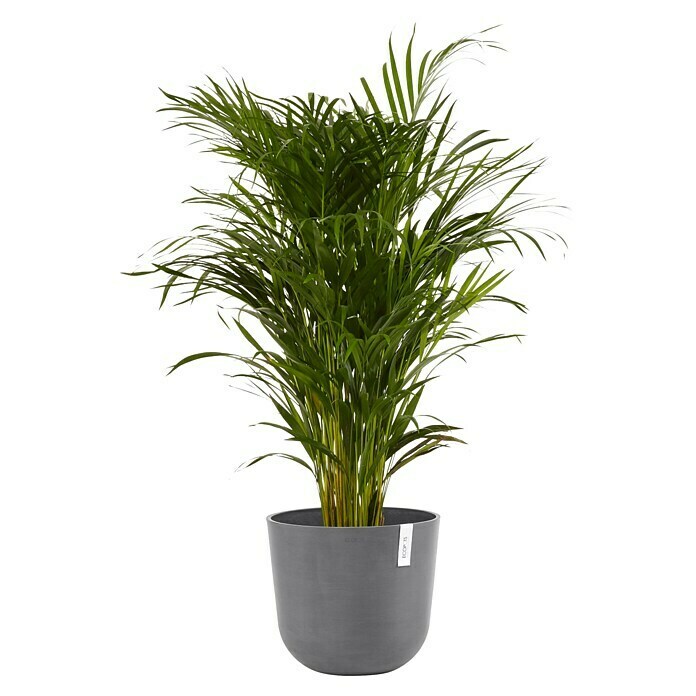 Ecopots Oslo Pflanztopf mit Wasserspeicher (Außenmaß (Ø x H): 35 x 40,5 cm, Kunststoff, Grau) | BAUHAUS