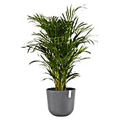 Ecopots Oslo Pflanztopf mit Wasserspeicher (Außenmaß (Ø x H): 35 x 40,5 cm, Kunststoff, Grau) | BAUHAUS