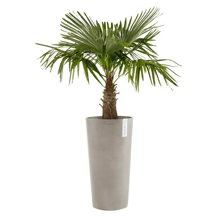 Ecopots Amsterdam Pflanzsäule rund High (Außenmaß (Ø x H): 49,8 x 91 cm, Kunststoff, Taupe) | BAUHAUS