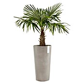 Ecopots Amsterdam Pflanzsäule rund High (Außenmaß (Ø x H): 49,8 x 91 cm, Kunststoff, Taupe) | BAUHAUS