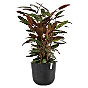 Ecopots Oslo Pflanztopf mit Wasserspeicher (Außenmaß (Ø x H): 35 x 40,5 cm, Kunststoff, Dunkelgrau) | BAUHAUS