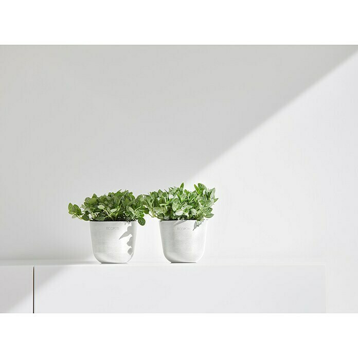 Ecopots Oslo Pflanztopf Mini (Außenmaß (Ø x H): 11,5 x 10 cm, Kunststoff, Weiß) | BAUHAUS