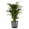 Ecopots Oslo Pflanztopf mit Wasserspeicher (Außenmaß (Ø x H): 35 x 40,5 cm, Kunststoff, Grau) | BAUHAUS