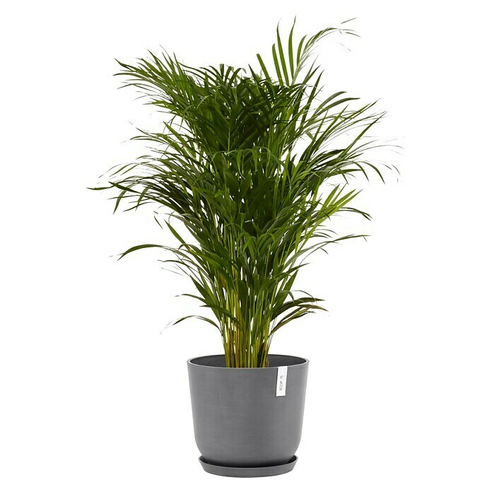 Ecopots Oslo Pflanztopf mit Wasserspeicher (Außenmaß (Ø x H): 35 x 40,5 cm, Kunststoff, Grau) | BAUHAUS