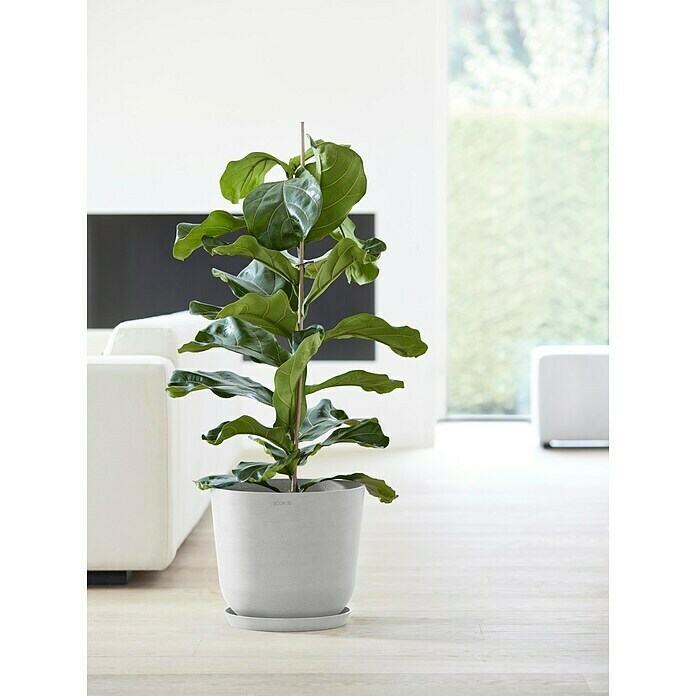 Ecopots Oslo Pflanztopf mit Wasserspeicher (Außenmaß (Ø x H): 35 x 40,5 cm, Kunststoff, Weißgrau) | BAUHAUS