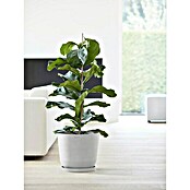 Ecopots Oslo Pflanztopf mit Wasserspeicher (Außenmaß (Ø x H): 35 x 40,5 cm, Kunststoff, Weißgrau) | BAUHAUS