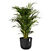 Ecopots Oslo Pflanztopf mit Wasserspeicher (Außenmaß (Ø x H): 35 x 40,5 cm, Kunststoff, Dunkelgrau) | BAUHAUS