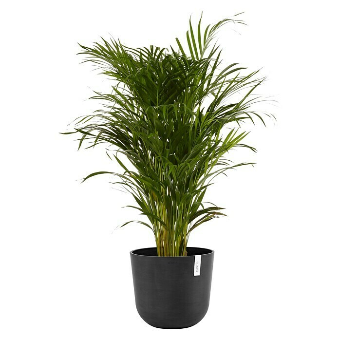 Ecopots Oslo Pflanztopf mit Wasserspeicher (Außenmaß (Ø x H): 35 x 40,5 cm, Kunststoff, Dunkelgrau) | BAUHAUS