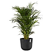Ecopots Oslo Pflanztopf mit Wasserspeicher (Außenmaß (Ø x H): 35 x 40,5 cm, Kunststoff, Dunkelgrau) | BAUHAUS