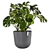 Ecopots Oslo Pflanztopf mit Wasserspeicher (Außenmaß (Ø x H): 55 x 48,5 cm, Kunststoff, Grau) | BAUHAUS