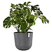 Ecopots Oslo Pflanztopf mit Wasserspeicher (Außenmaß (Ø x H): 55 x 47,9 cm, Kunststoff, Grau) | BAUHAUS